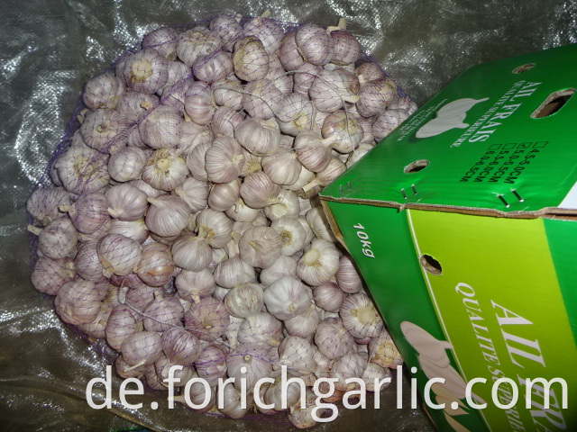 High Quality Fresh Normal Garlic